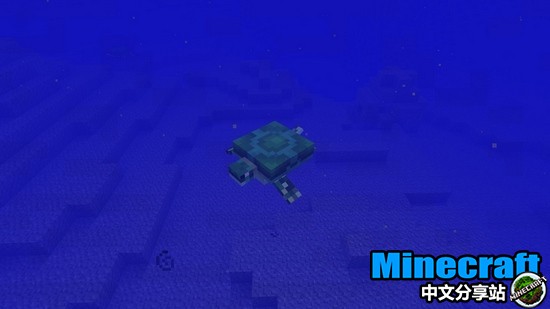我的世界海龟攻略