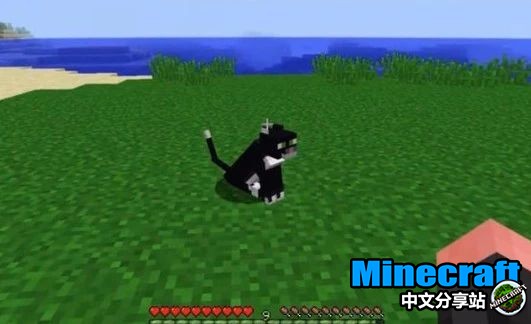 我的世界1 14如何驯服豹猫 Minecraft中文分享站